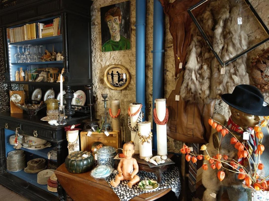 Maison d'hôtes les volets verts et sa brocante Ecueille Exterior foto