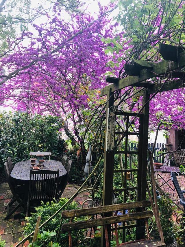 Maison d'hôtes les volets verts et sa brocante Ecueille Exterior foto